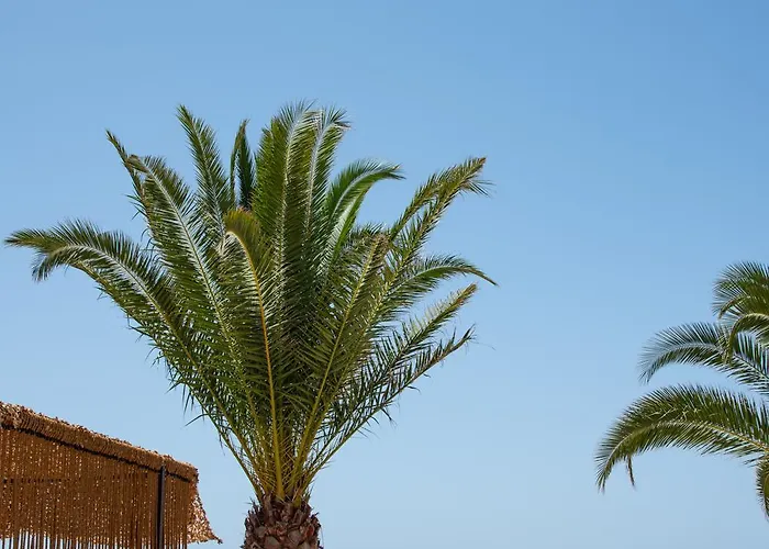 Avra Vacation *