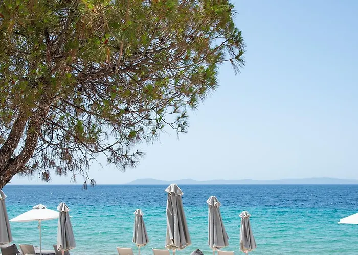 Avra Vacation Holiday home